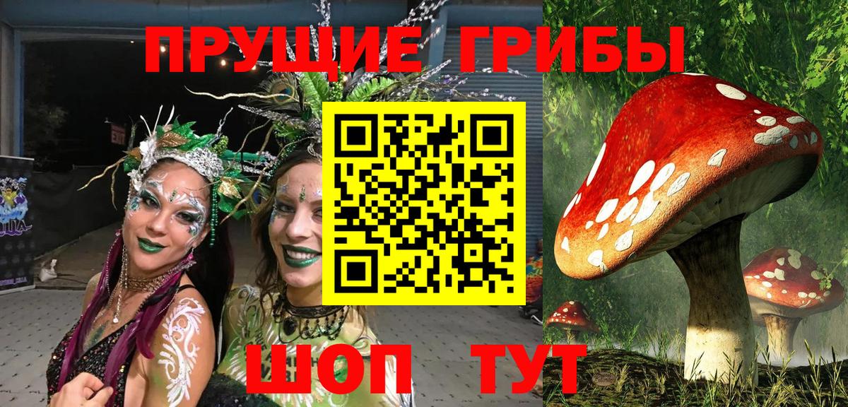 Острогожск  как найти закладки  Вход с VPN  Псилоцибиновые грибы прущие грибы 