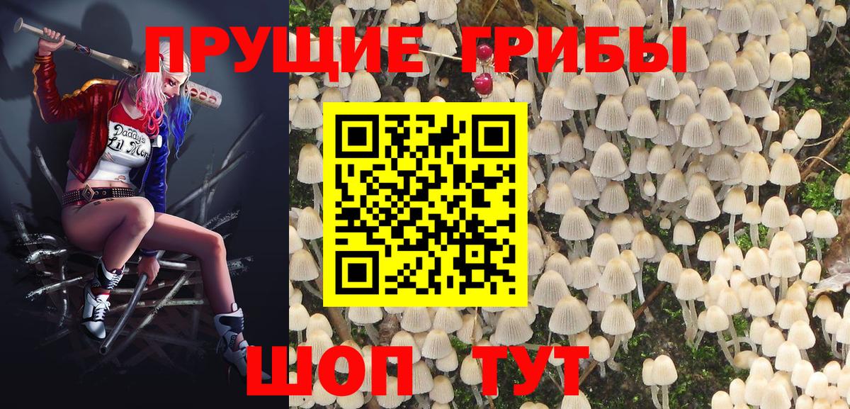 Псилоцибиновые грибы ЛСД Острогожск